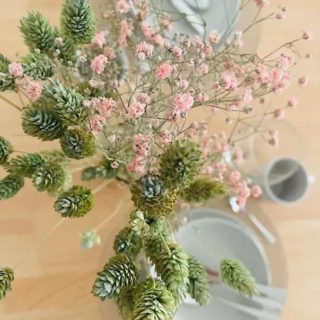 Boho Living * Bautzen